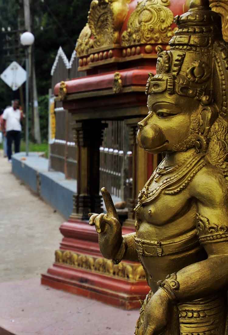 Lord Hanuman Idols