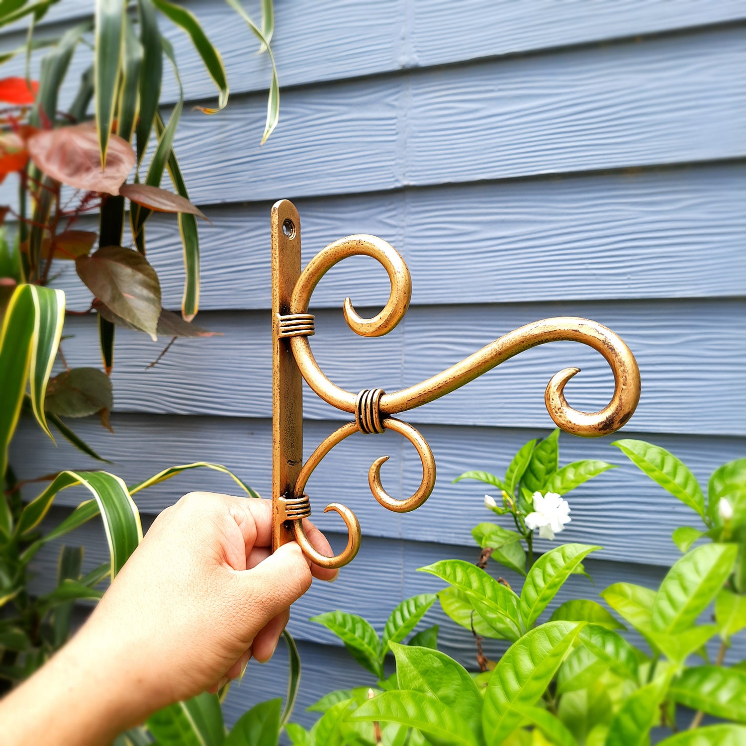 Decorative Wall Hook for Wall Decor & Office Decor - 8 Inch-Apkamart #Style_ Pack of 4