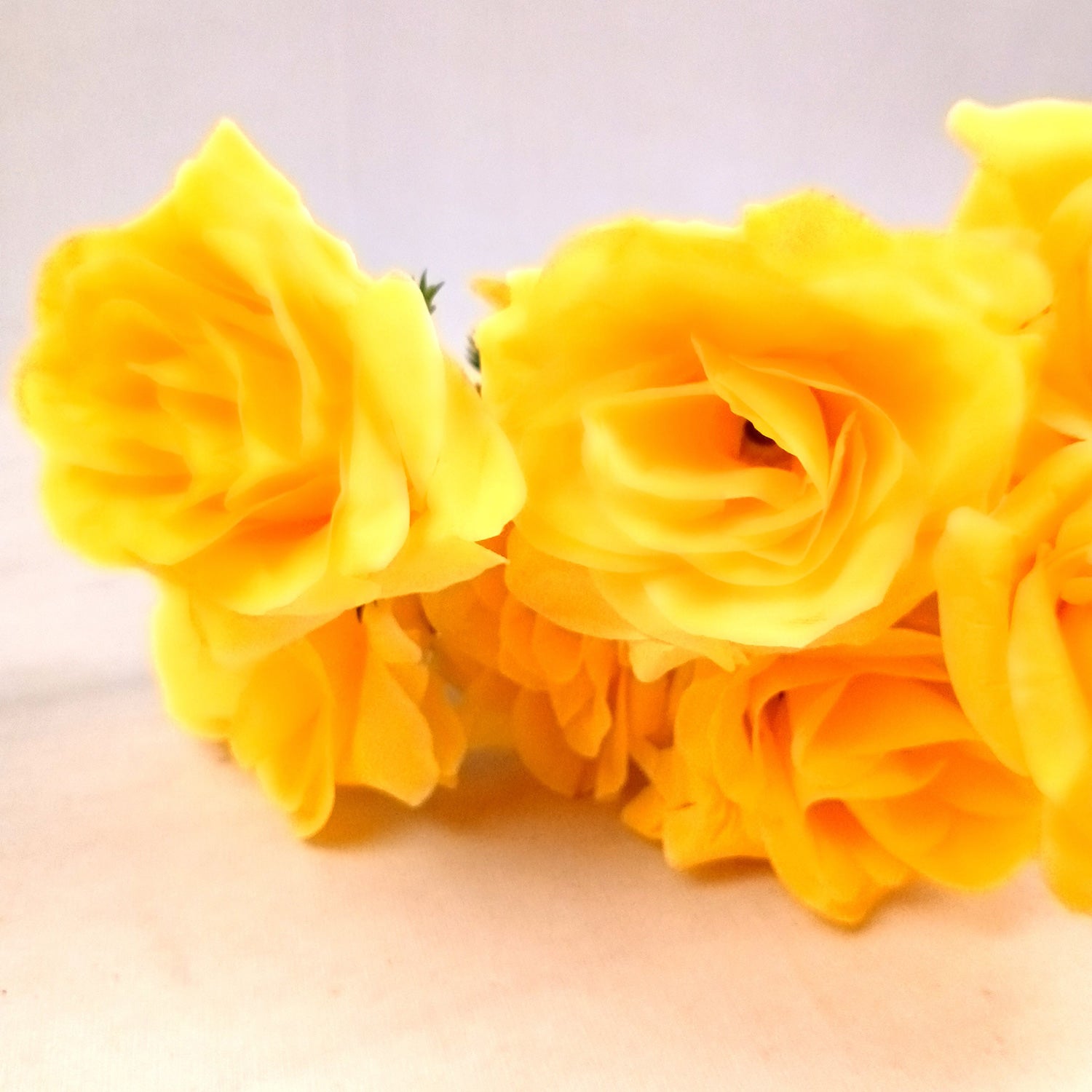 Artificial Flowers Rose Bunches for Vase Pot | Faux Flowers Sticks / Bouquet - for Home Decor, Living Room & Festivals Decoration (Vase Not Included) - 18 Inch - Apkamart #Colour_Yellow