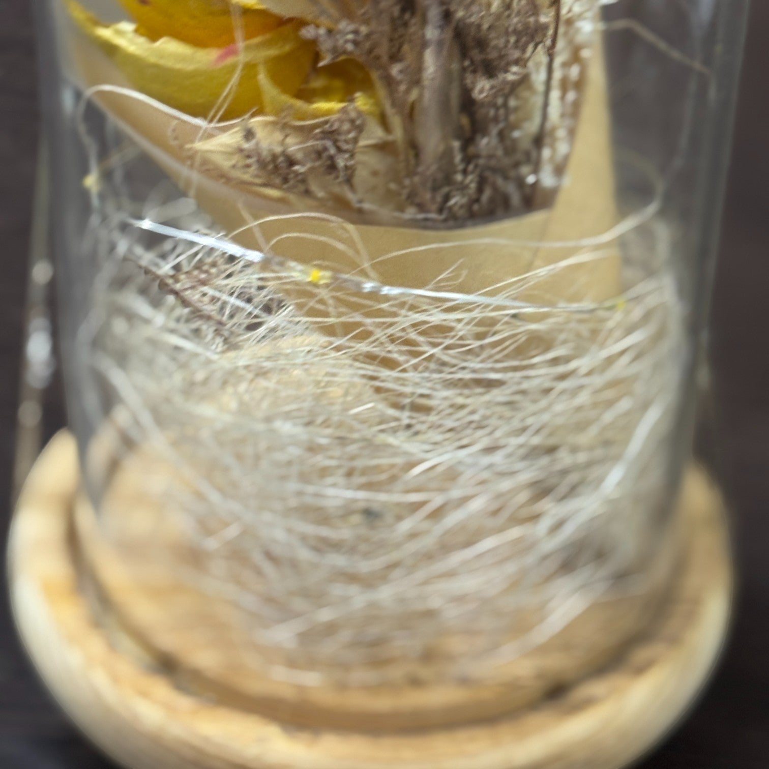 Glass Flower Showpiece | Enchanted Flower Under Glass Dome | Romantic Gift for Valentine, Anniversary, Birthday & Home Decor - 9 Inch - Apkamart