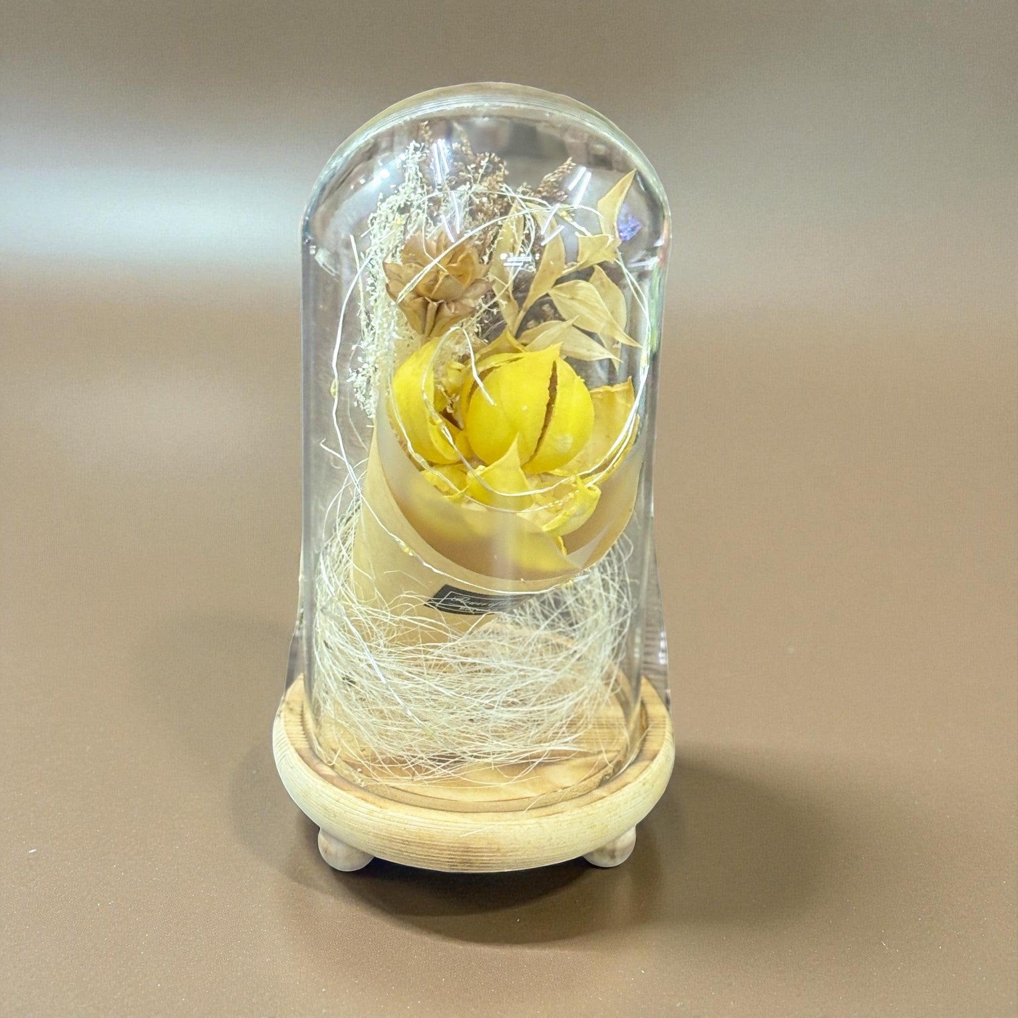 Glass Flower Showpiece | Enchanted Flower Under Glass Dome | Romantic Gift for Valentine, Anniversary, Birthday & Home Decor - 9 Inch - Apkamart