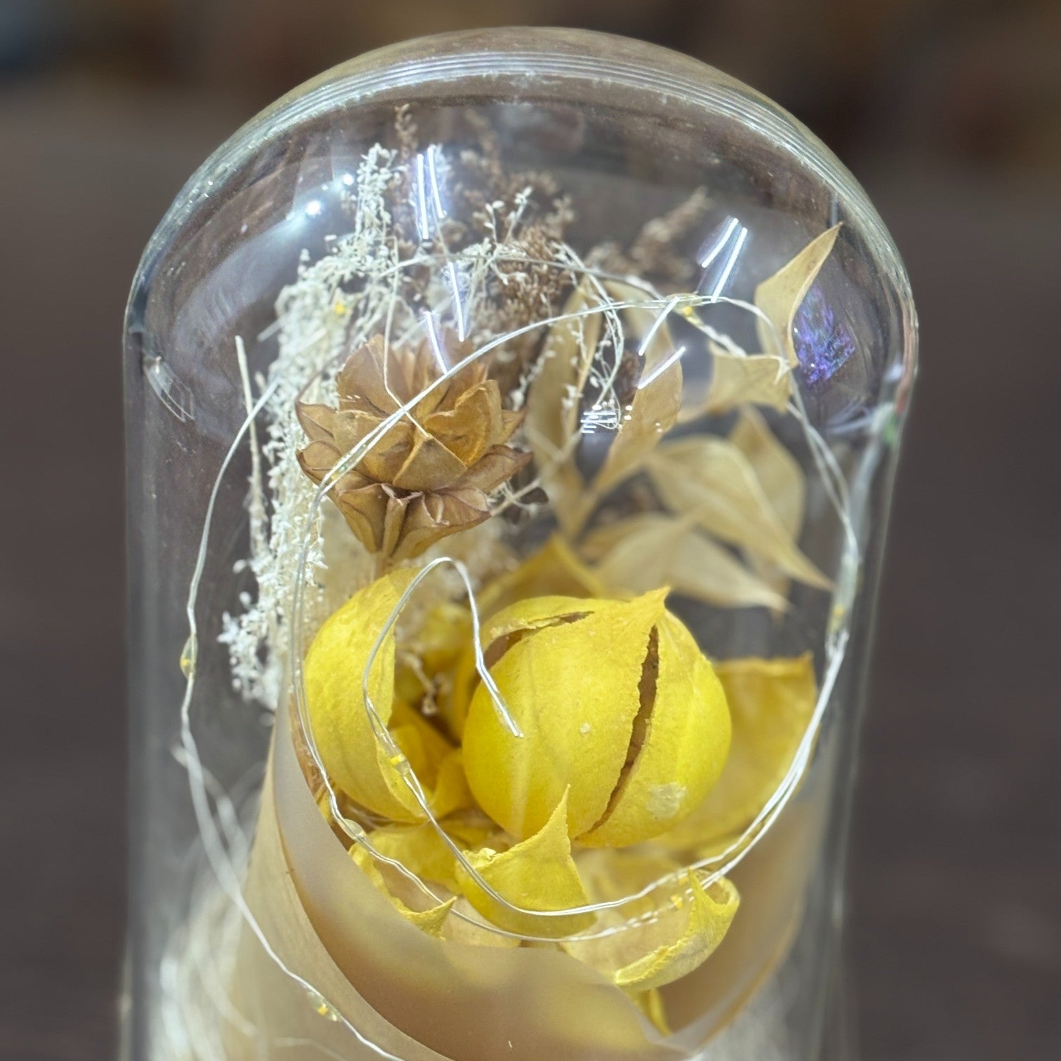 Glass Flower Showpiece | Enchanted Flower Under Glass Dome | Romantic Gift for Valentine, Anniversary, Birthday & Home Decor - 9 Inch - Apkamart