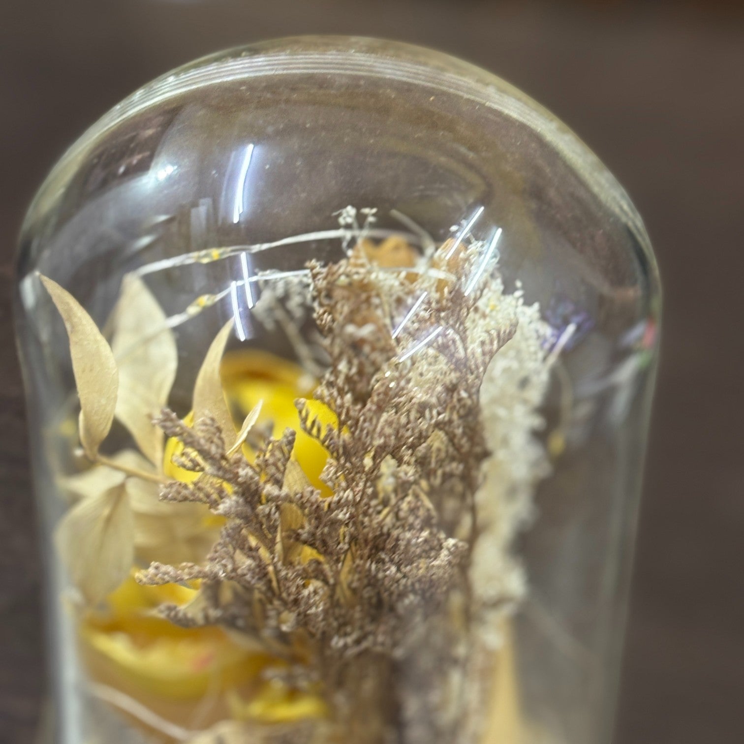 Glass Flower Showpiece | Enchanted Flower Under Glass Dome | Romantic Gift for Valentine, Anniversary, Birthday & Home Decor - 9 Inch - Apkamart