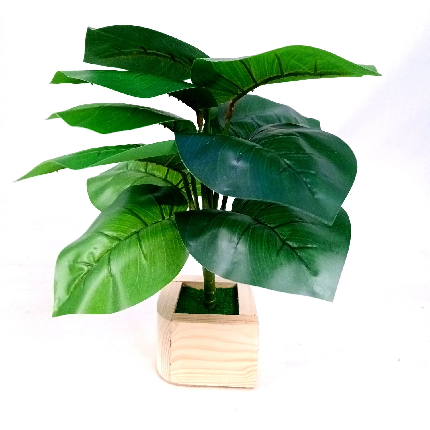 Artificial Plant with Pot | Fake Faux Indoor Potted Money Plant - for Home Décor, Living Room, Office Decoration -10 Inch - Apkamart #Style_Design 2