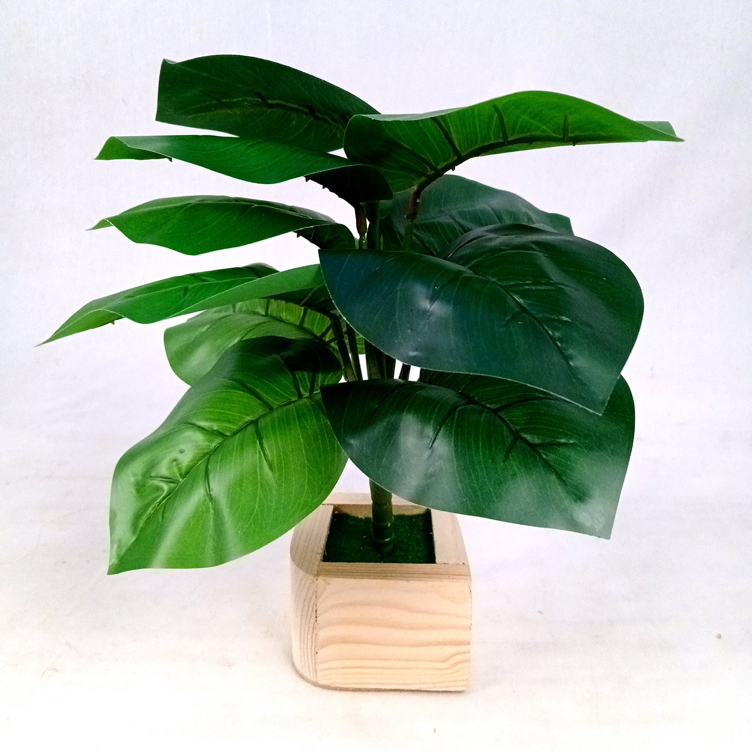 Artificial Plant with Pot | Fake Faux Indoor Potted Money Plant - for Home Décor, Living Room, Office Decoration -10 Inch - Apkamart #Style_Design 3