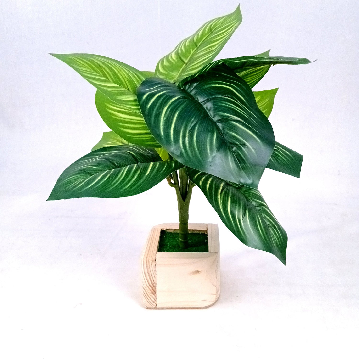 Artificial Plant with Pot | Fake Faux Indoor Potted Money Plant - for Home Décor, Living Room, Office Decoration -10 Inch - Apkamart #Style_Design 2