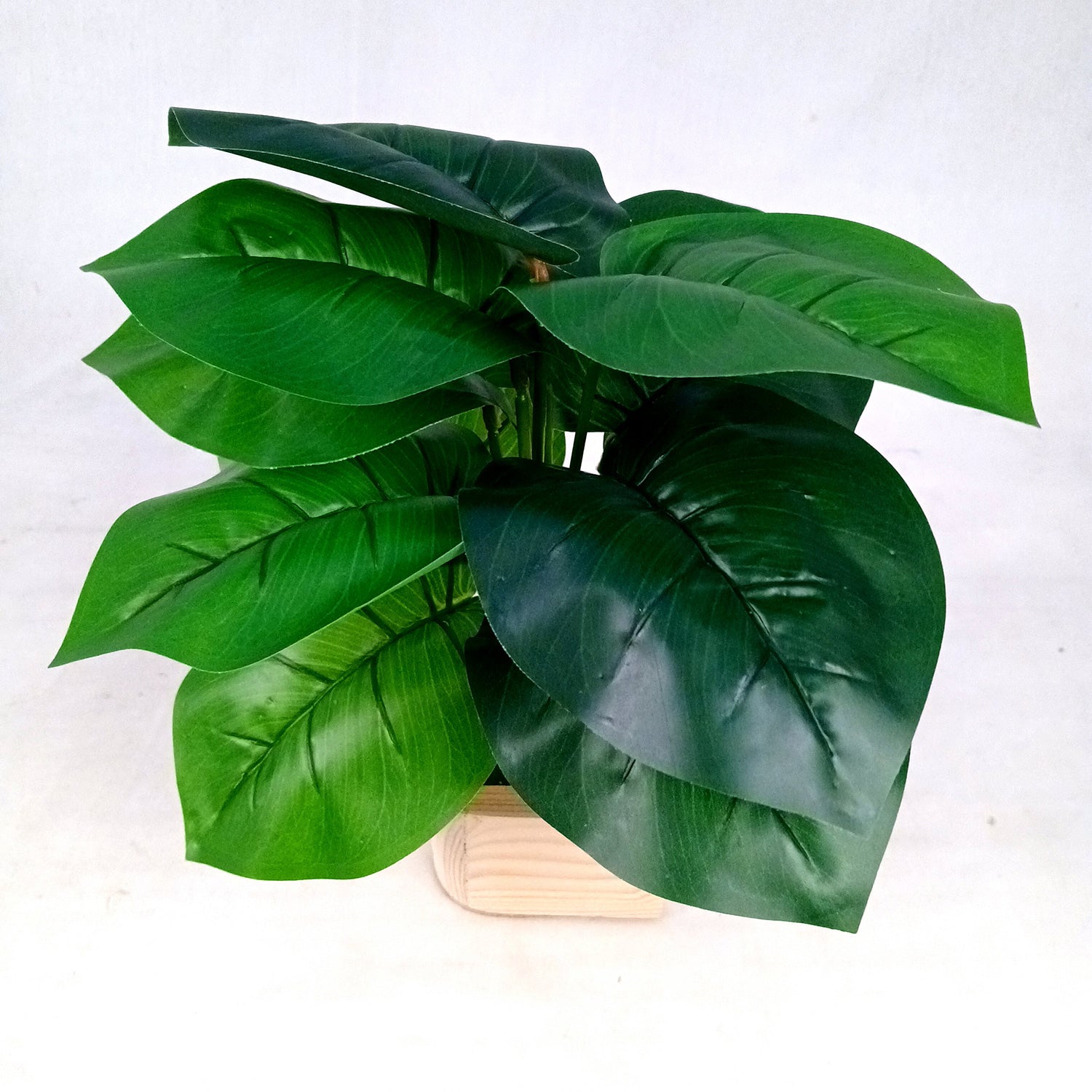 Artificial Plant with Pot | Fake Faux Indoor Potted Money Plant - for Home Décor, Living Room, Office Decoration -10 Inch - Apkamart #Style_Design 3