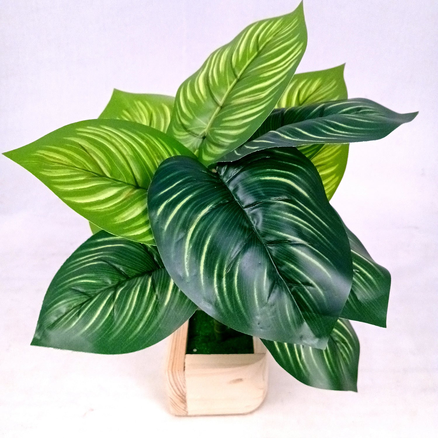 Artificial Plant with Pot | Fake Faux Indoor Potted Money Plant - for Home Décor, Living Room, Office Decoration -10 Inch - Apkamart #Style_Design 2