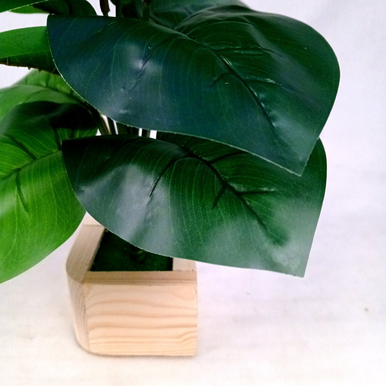 Artificial Plant with Pot | Fake Faux Indoor Potted Money Plant - for Home Décor, Living Room, Office Decoration -10 Inch - Apkamart #Style_Design 3