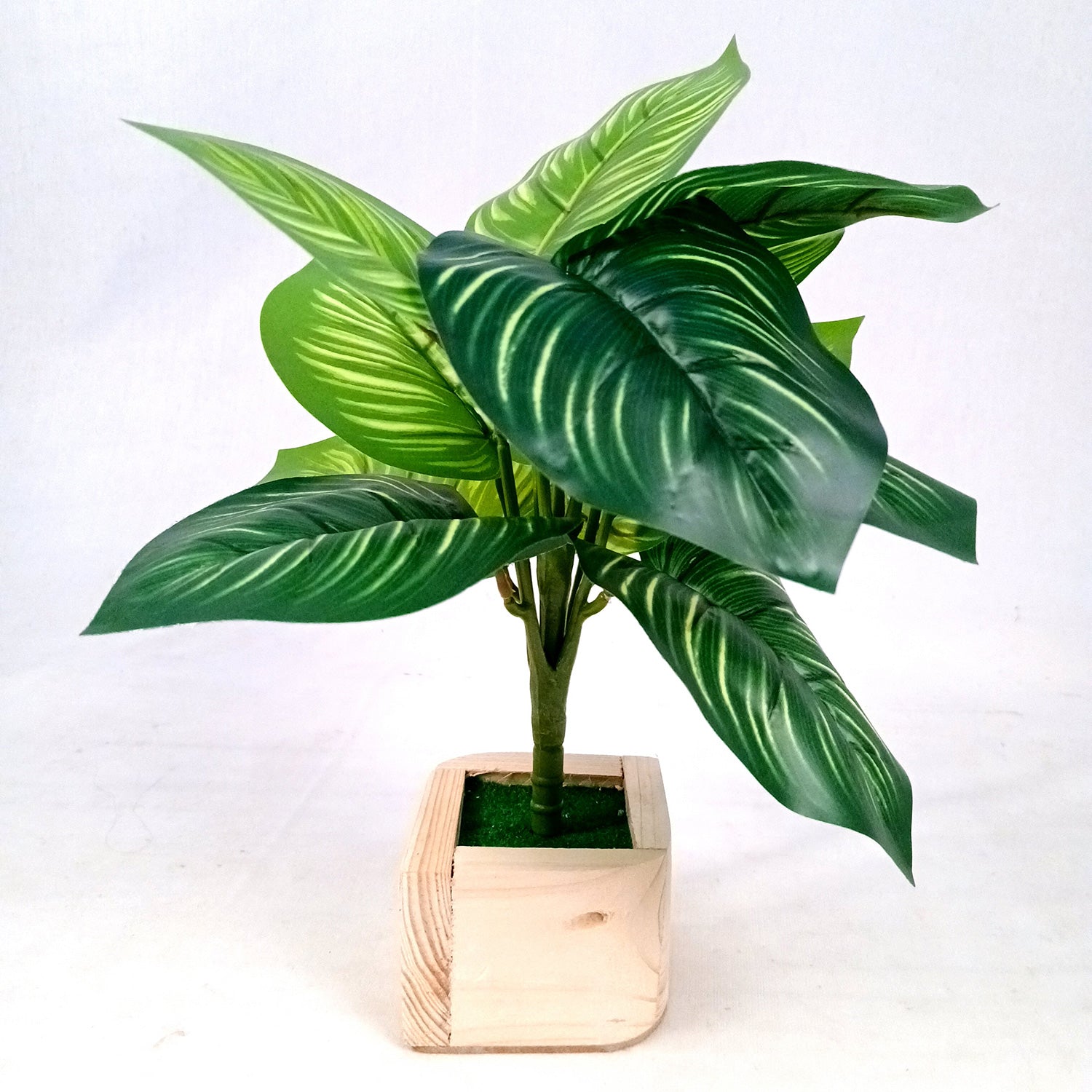 Artificial Plant with Pot | Fake Faux Indoor Potted Money Plant - for Home Décor, Living Room, Office Decoration -10 Inch - Apkamart #Style_Design 2