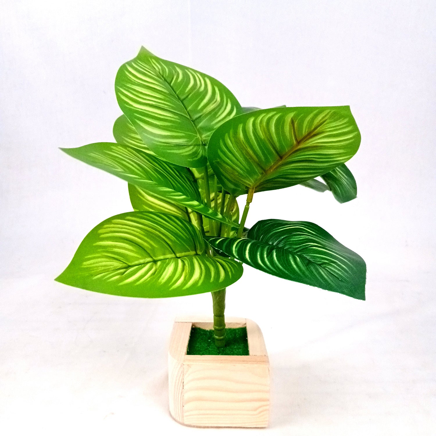 Artificial Plant with Pot | Fake Faux Indoor Potted Money Plant - for Home Décor, Living Room, Office Decoration -10 Inch - Apkamart #Style_Design 2