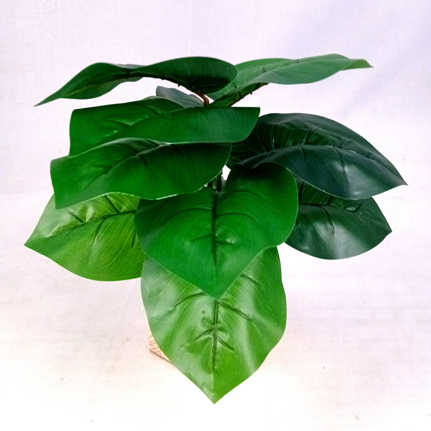 Artificial Plant with Pot | Fake Faux Indoor Potted Money Plant - for Home Décor, Living Room, Office Decoration -10 Inch - Apkamart #Style_Design 3