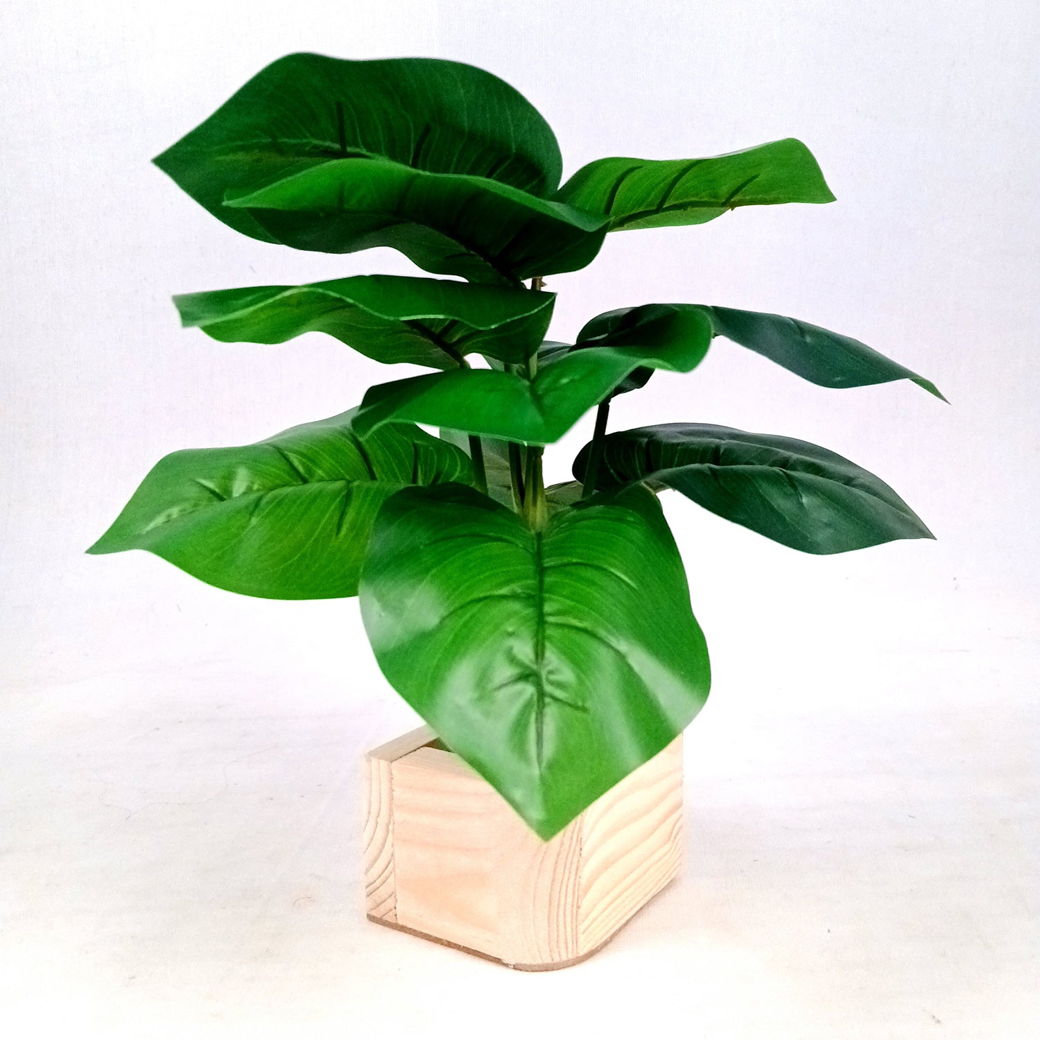 Artificial Plant with Pot | Fake Faux Indoor Potted Money Plant - for Home Décor, Living Room, Office Decoration -10 Inch - Apkamart #Style_Design 3