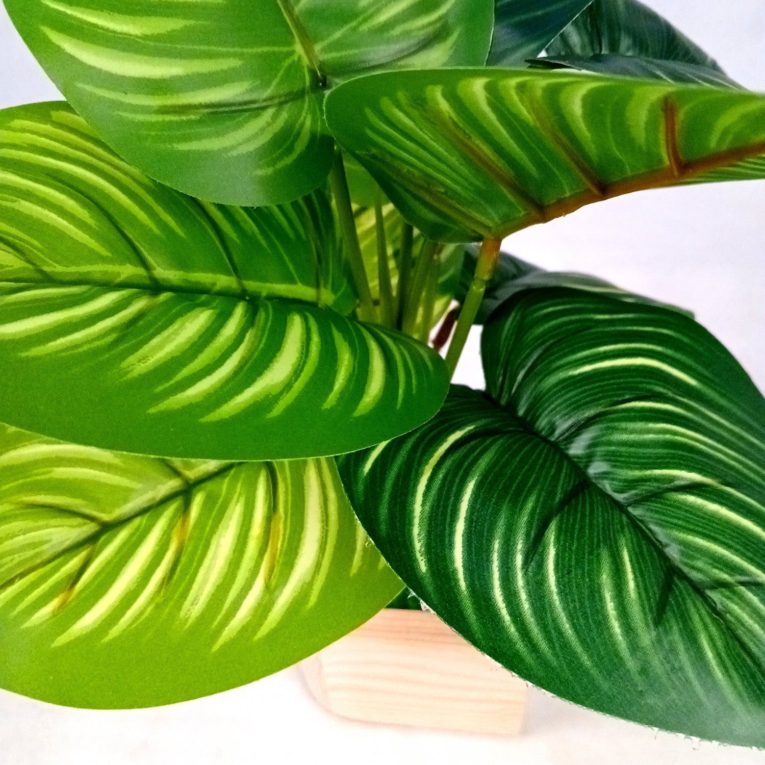 Artificial Plant with Pot | Fake Faux Indoor Potted Money Plant - for Home Décor, Living Room, Office Decoration -10 Inch - Apkamart #Style_Design 2