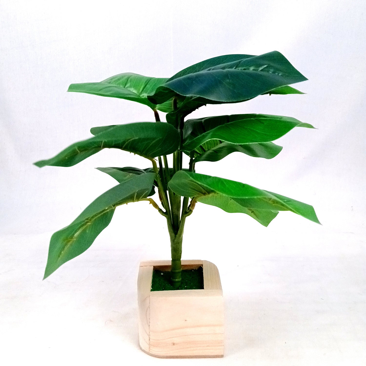 Artificial Plant with Pot | Fake Faux Indoor Potted Money Plant - for Home Décor, Living Room, Office Decoration -10 Inch - Apkamart #Style_Design 3