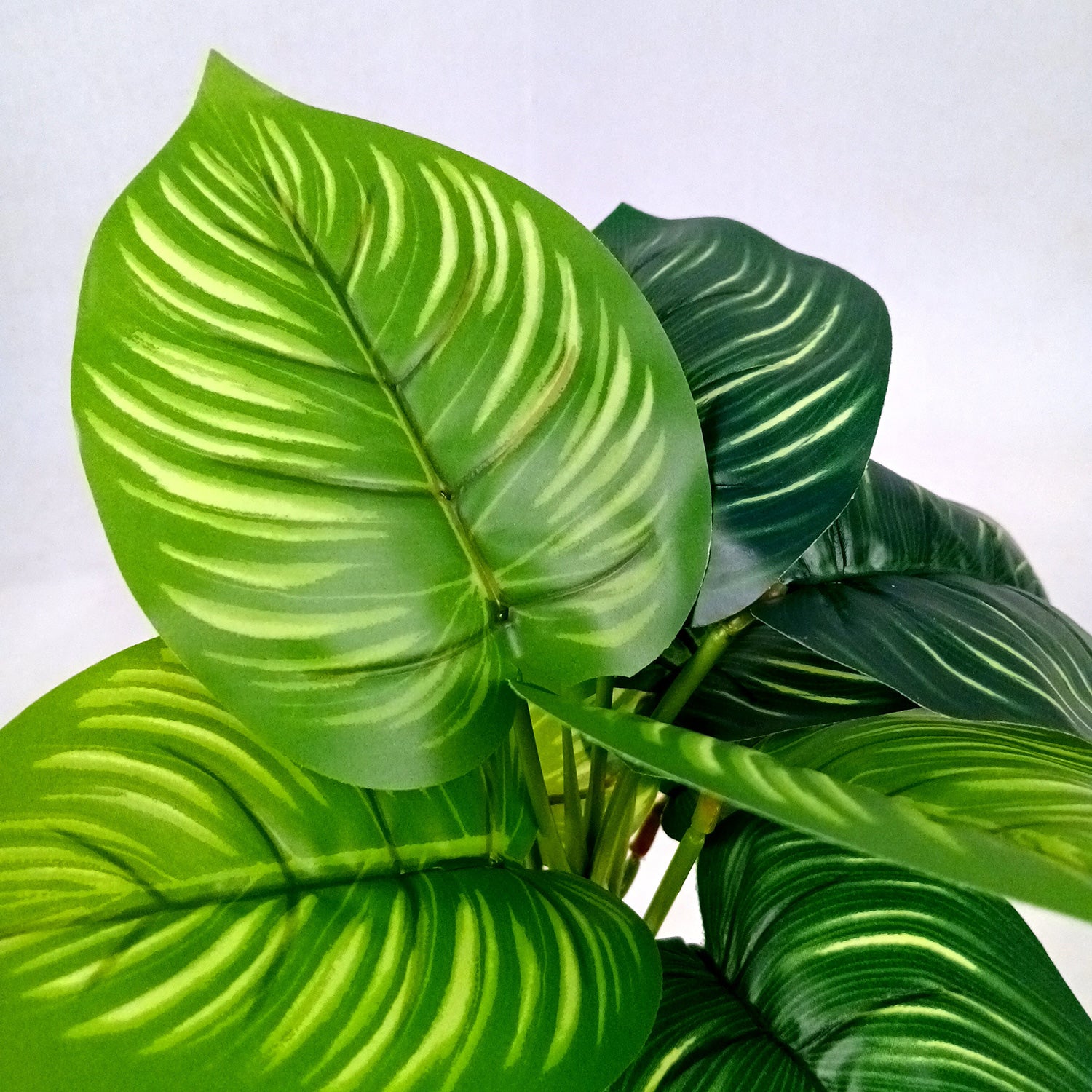 Artificial Plant with Pot | Fake Faux Indoor Potted Money Plant - for Home Décor, Living Room, Office Decoration -10 Inch - Apkamart #Style_Design 2