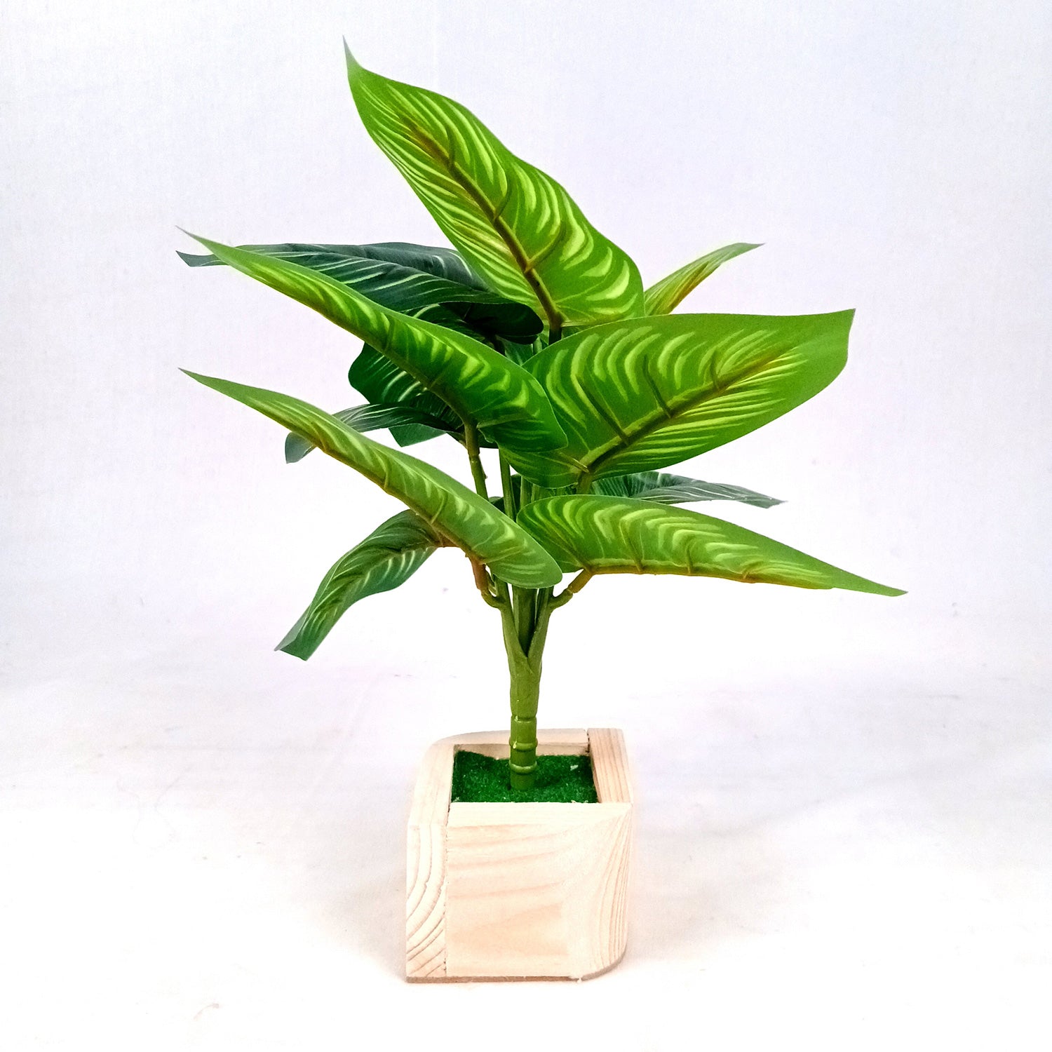 Artificial Plant with Pot | Fake Faux Indoor Potted Money Plant - for Home Décor, Living Room, Office Decoration -10 Inch - Apkamart #Style_Design 2