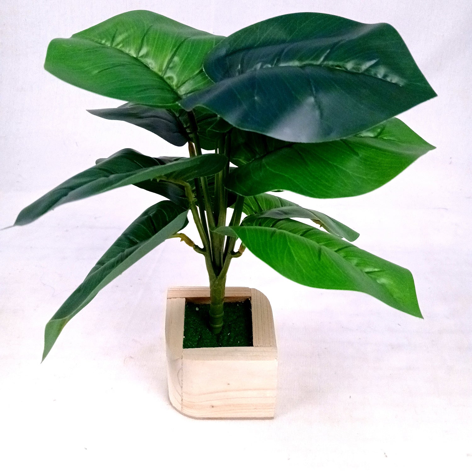 Artificial Plant with Pot | Fake Faux Indoor Potted Money Plant - for Home Décor, Living Room, Office Decoration -10 Inch - Apkamart #Style_Design 3