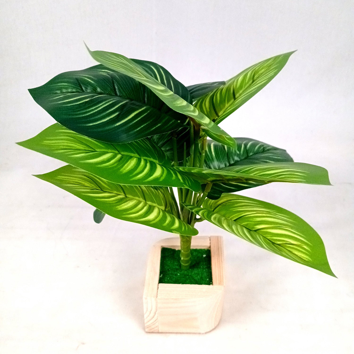 Artificial Plant with Pot | Fake Faux Indoor Potted Money Plant - for Home Décor, Living Room, Office Decoration -10 Inch - Apkamart #Style_Design 2