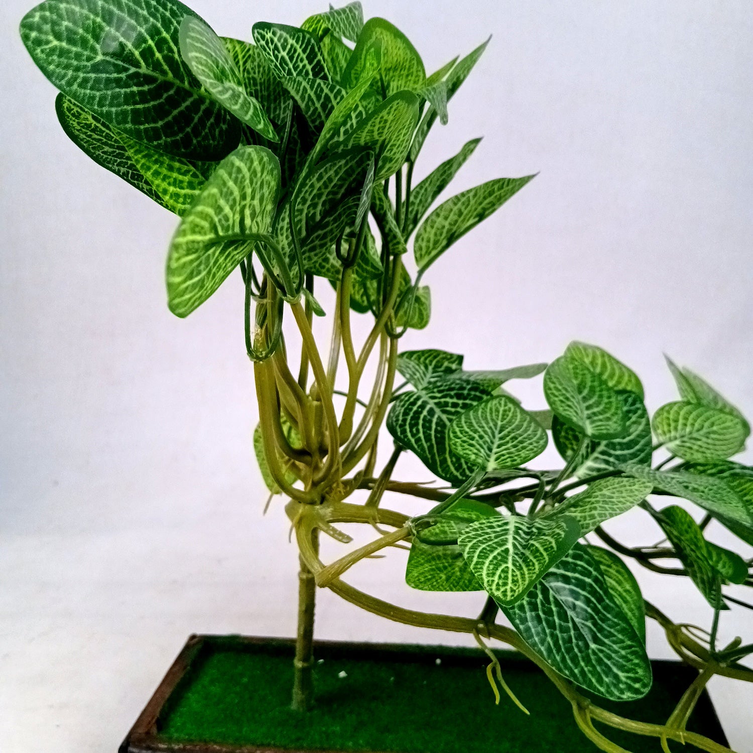 Artificial Money plant With Pot | Bonsai Artificial plant - For Vase, Pot, Home, Bedroom, Balcony, Office Corner, Living Room - 15 Inch - Apkamart #Style_Design 1