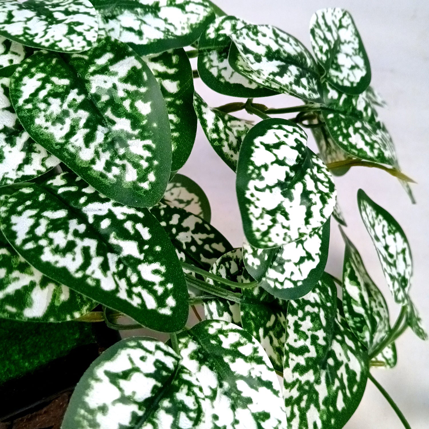 Artificial Plant With Pot | Artificial Bonsai Money Plant - for Home Decor Living Room Side Table Centerpiece - 16 Inch - Apkamart #Style_Design 2