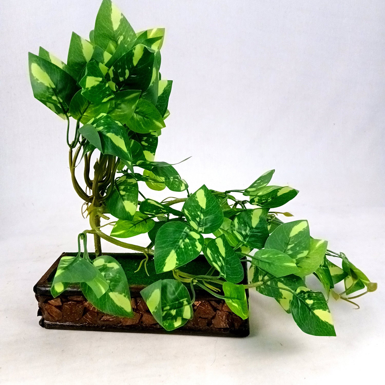 Artificial Money plant With Pot | Bonsai Artificial plant - For Vase, Pot, Home, Bedroom, Balcony, Office Corner, Living Room - 15 Inch - Apkamart #Style_Design 2