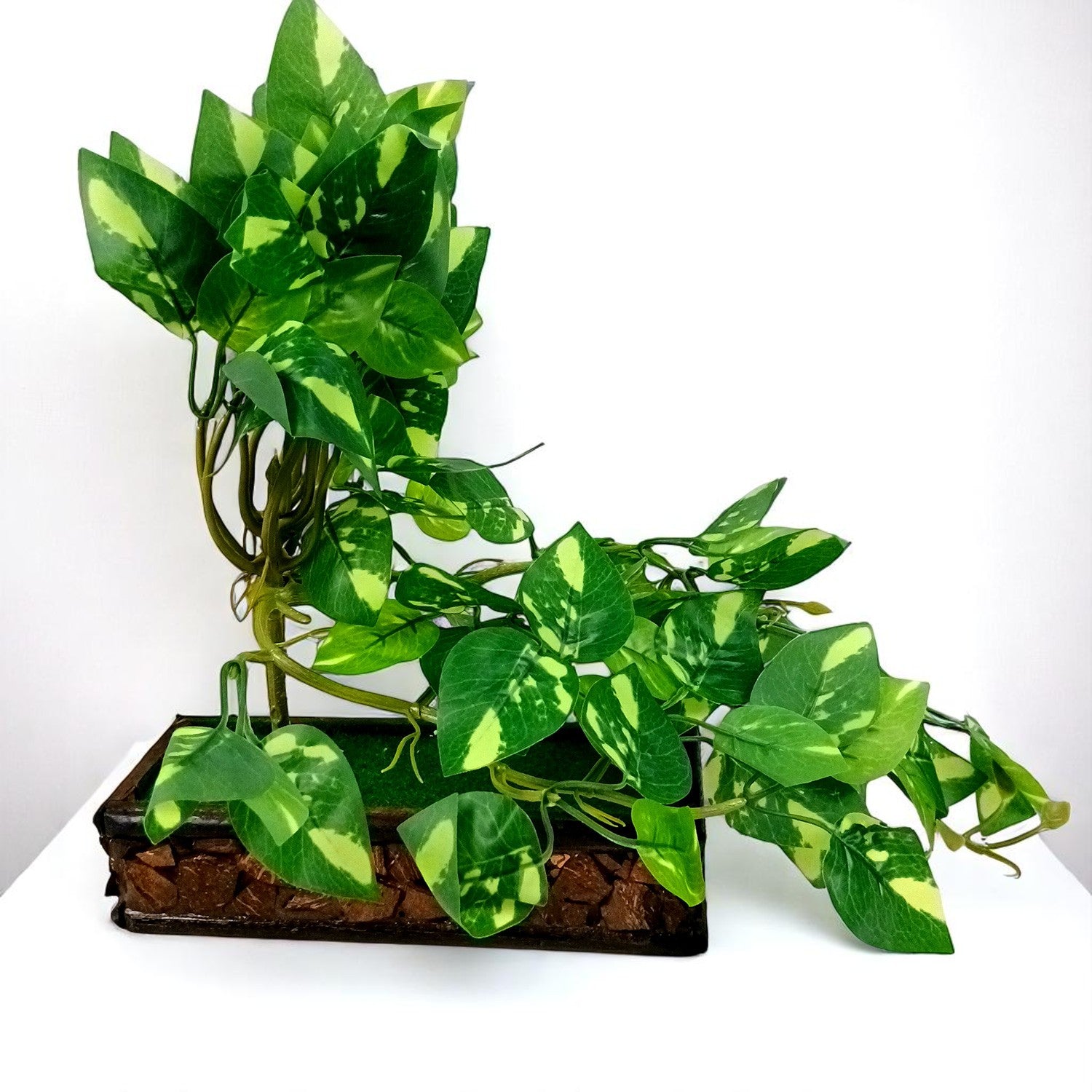 Artificial Money plant With Pot | Bonsai Artificial plant - For Vase, Pot, Home, Bedroom, Balcony, Office Corner, Living Room - 15 Inch - Apkamart #Style_Design 2