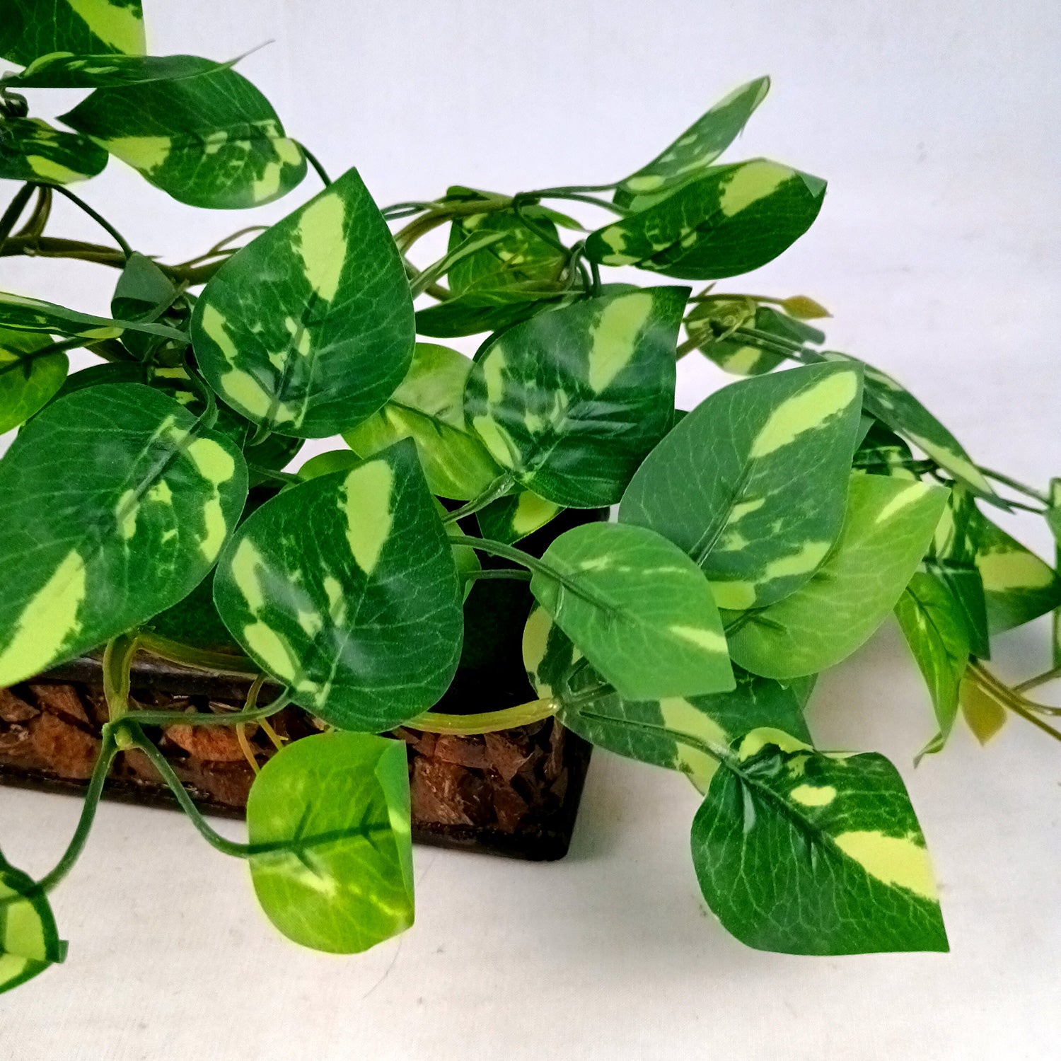 Artificial Money plant With Pot | Bonsai Artificial plant - For Vase, Pot, Home, Bedroom, Balcony, Office Corner, Living Room - 15 Inch - Apkamart #Style_Design 2