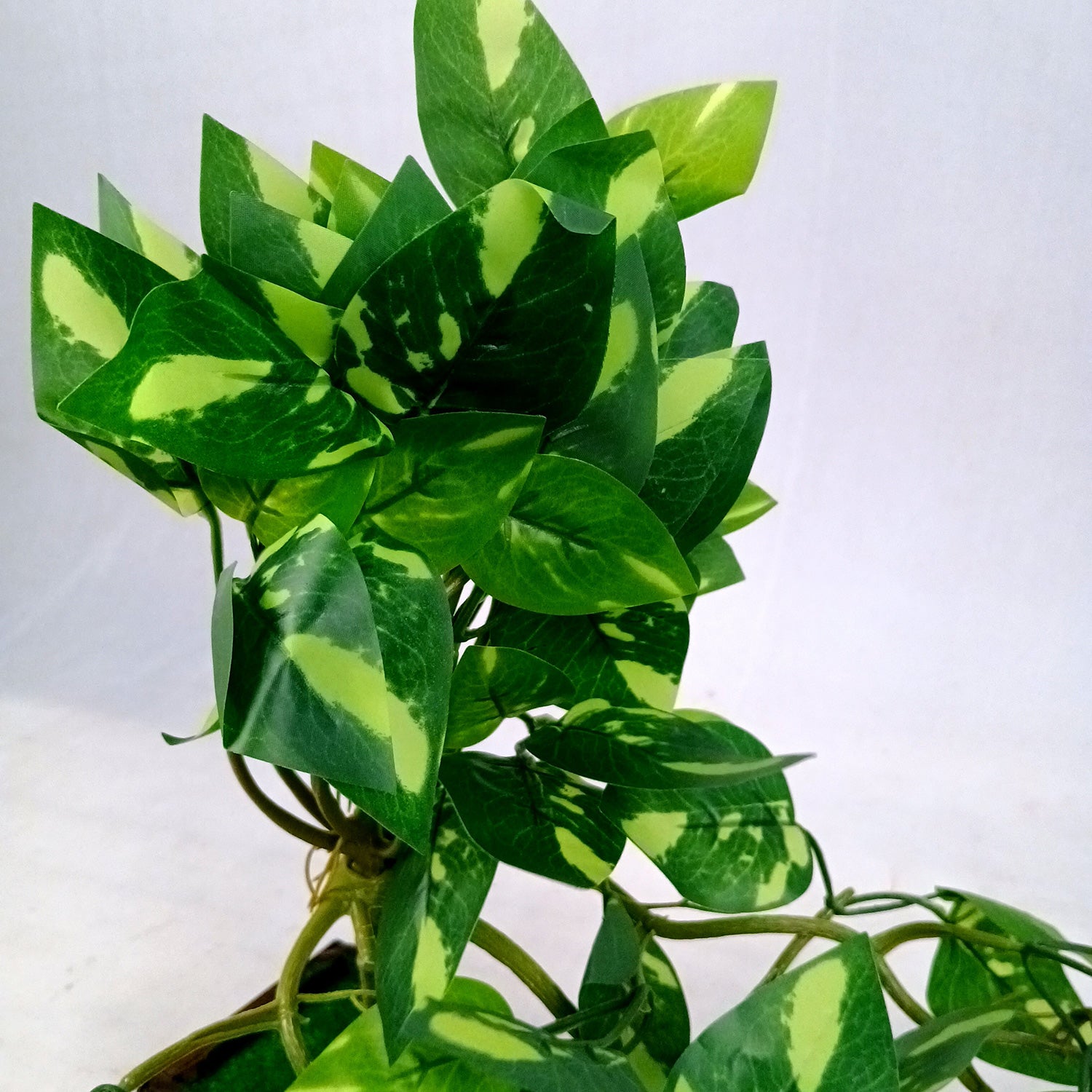 Artificial Money plant With Pot | Bonsai Artificial plant - For Vase, Pot, Home, Bedroom, Balcony, Office Corner, Living Room - 15 Inch - Apkamart #Style_Design 2