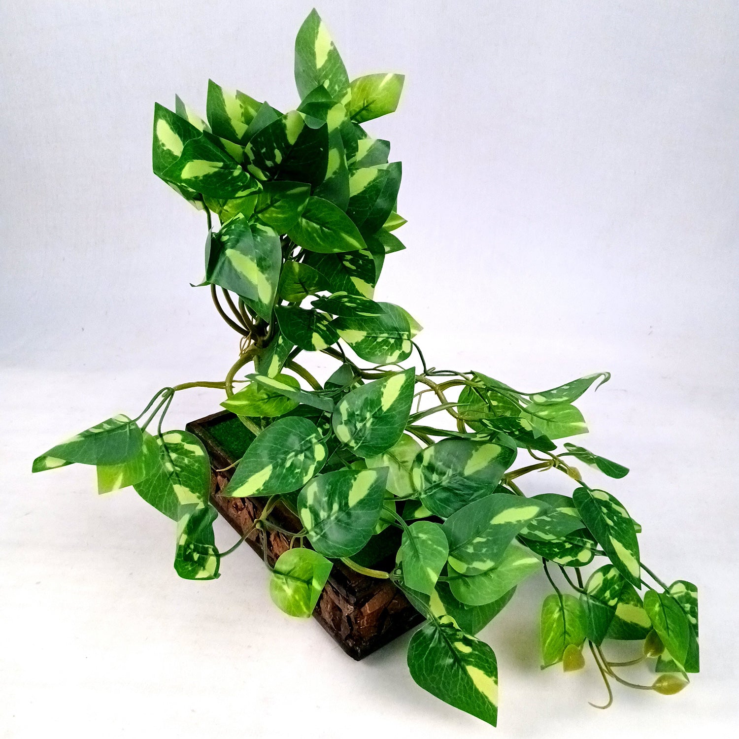 Artificial Money plant With Pot | Bonsai Artificial plant - For Vase, Pot, Home, Bedroom, Balcony, Office Corner, Living Room - 15 Inch - Apkamart #Style_Design 2