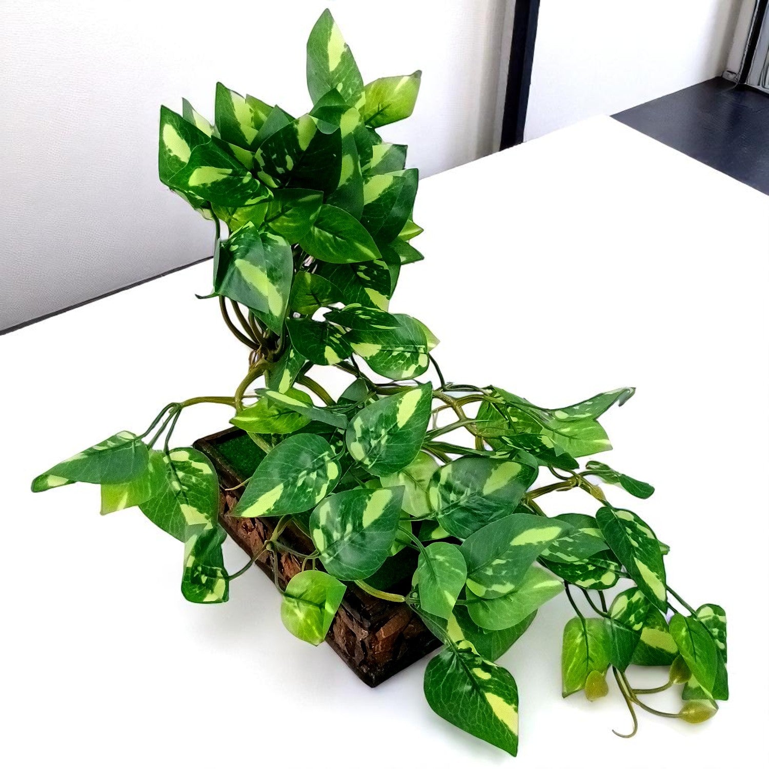 Artificial Money plant With Pot | Bonsai Artificial plant - For Vase, Pot, Home, Bedroom, Balcony, Office Corner, Living Room - 15 Inch - Apkamart #Style_Design 2