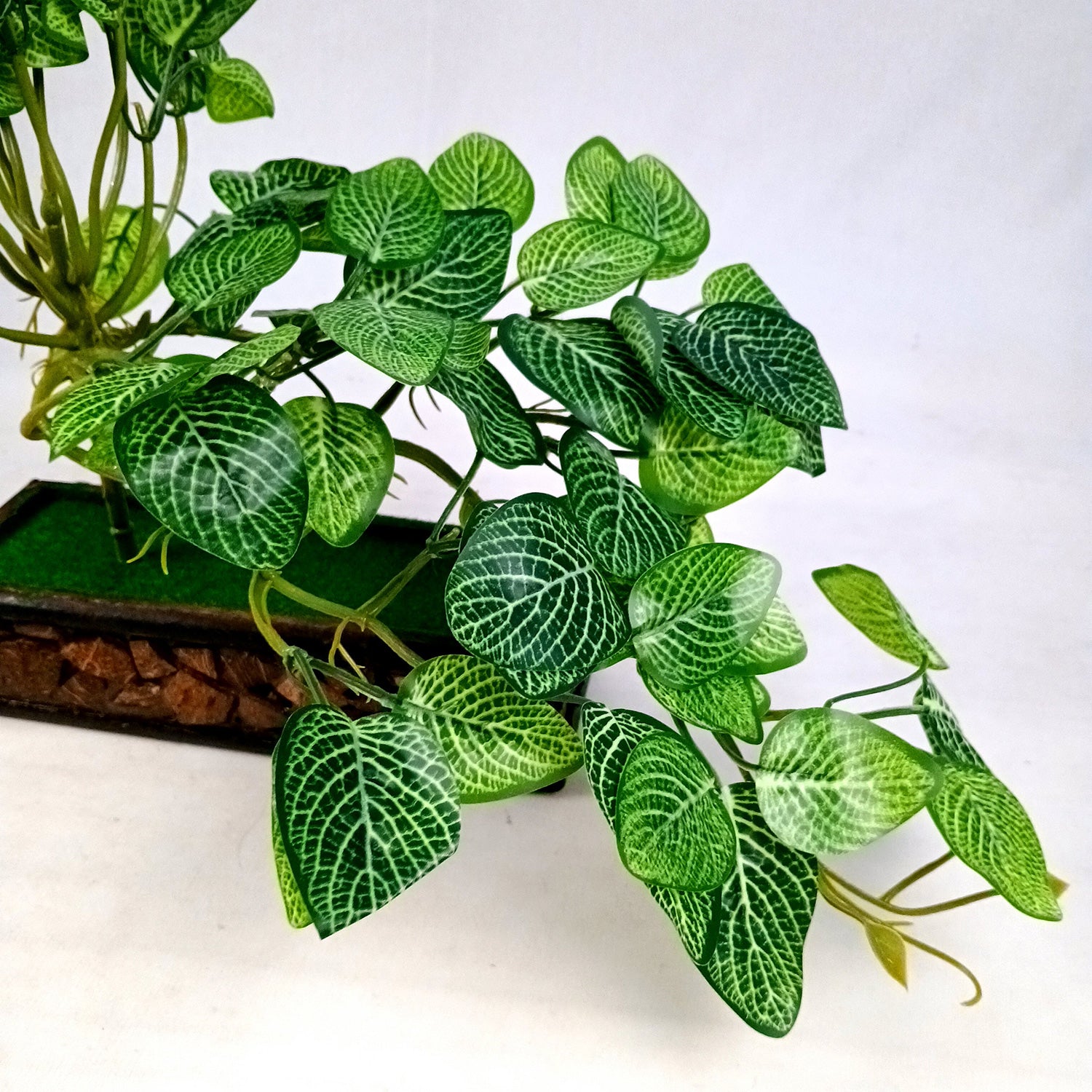 Artificial Plant With Pot |Bonsai Money Plant - for Home Decor, Living Room, Side Table - 12 Inch - Apkamart #Style_Design 1