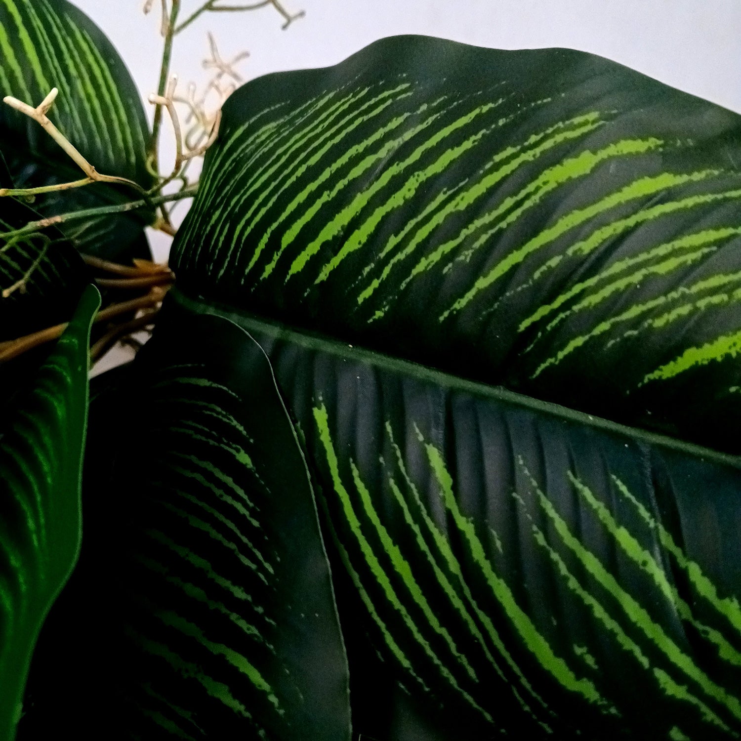 Artificial Plant With Pot | Artificial Money Bonsai Plant - For Vase, Pot, Home, Bedroom, Balcony, Office Corner, Living Room - 17 Inch - Apkamart