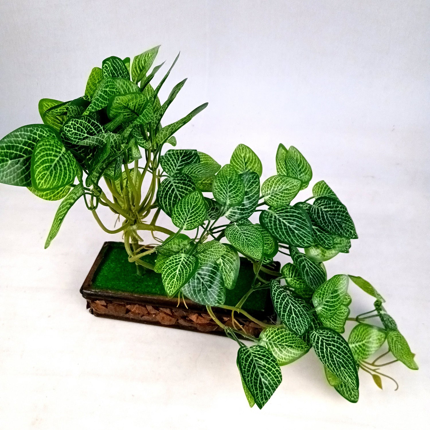 Artificial Money plant With Pot | Bonsai Artificial plant - For Vase, Pot, Home, Bedroom, Balcony, Office Corner, Living Room - 15 Inch - Apkamart #Style_Design 1