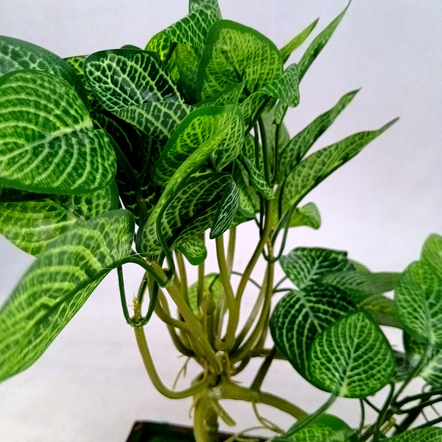 Artificial Plant With Pot |Bonsai Money Plant - for Home Decor, Living Room, Side Table - 12 Inch - Apkamart #Style_Design 1