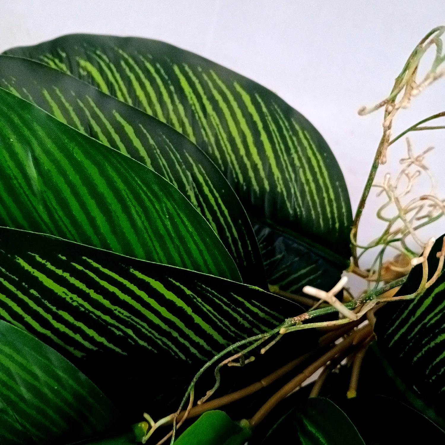 Artificial Plant With Pot | Artificial Money Bonsai Plant - For Vase, Pot, Home, Bedroom, Balcony, Office Corner, Living Room - 17 Inch - Apkamart