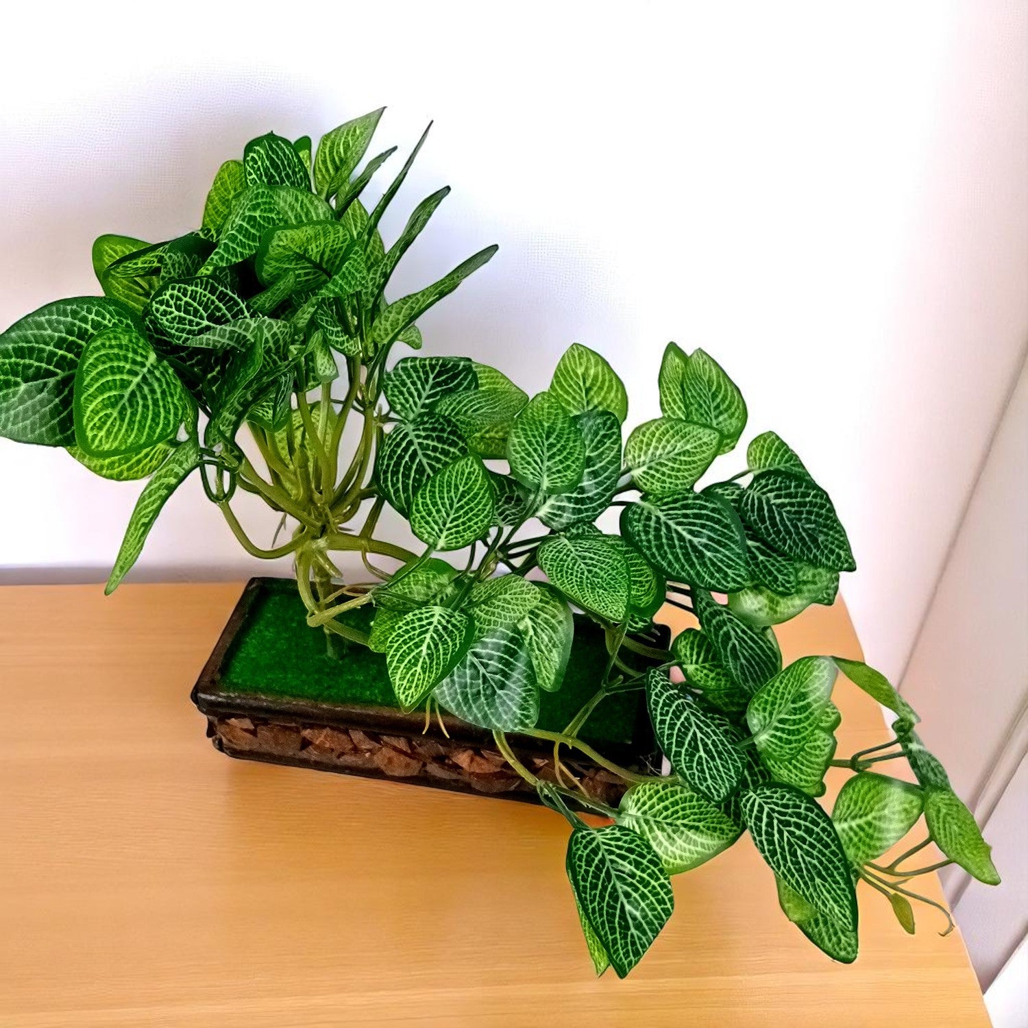 Artificial Money plant With Pot | Bonsai Artificial plant - For Vase, Pot, Home, Bedroom, Balcony, Office Corner, Living Room - 15 Inch - Apkamart #Style_Design 1