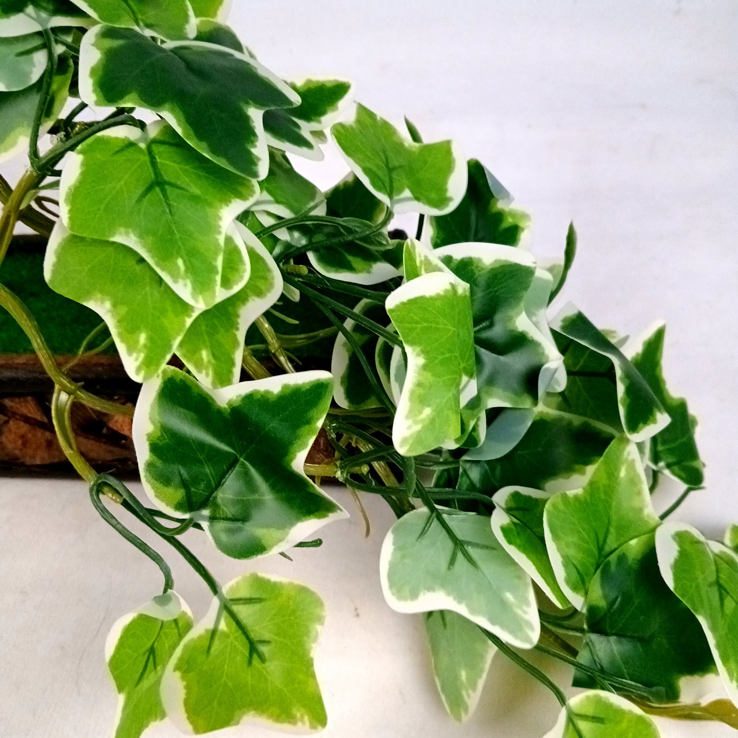 Artificial Plant With Pot | Artificial Bonsai Money Plant - for Home Decor Living Room Side Table Centerpiece - 16 Inch - Apkamart #Style_Design 1