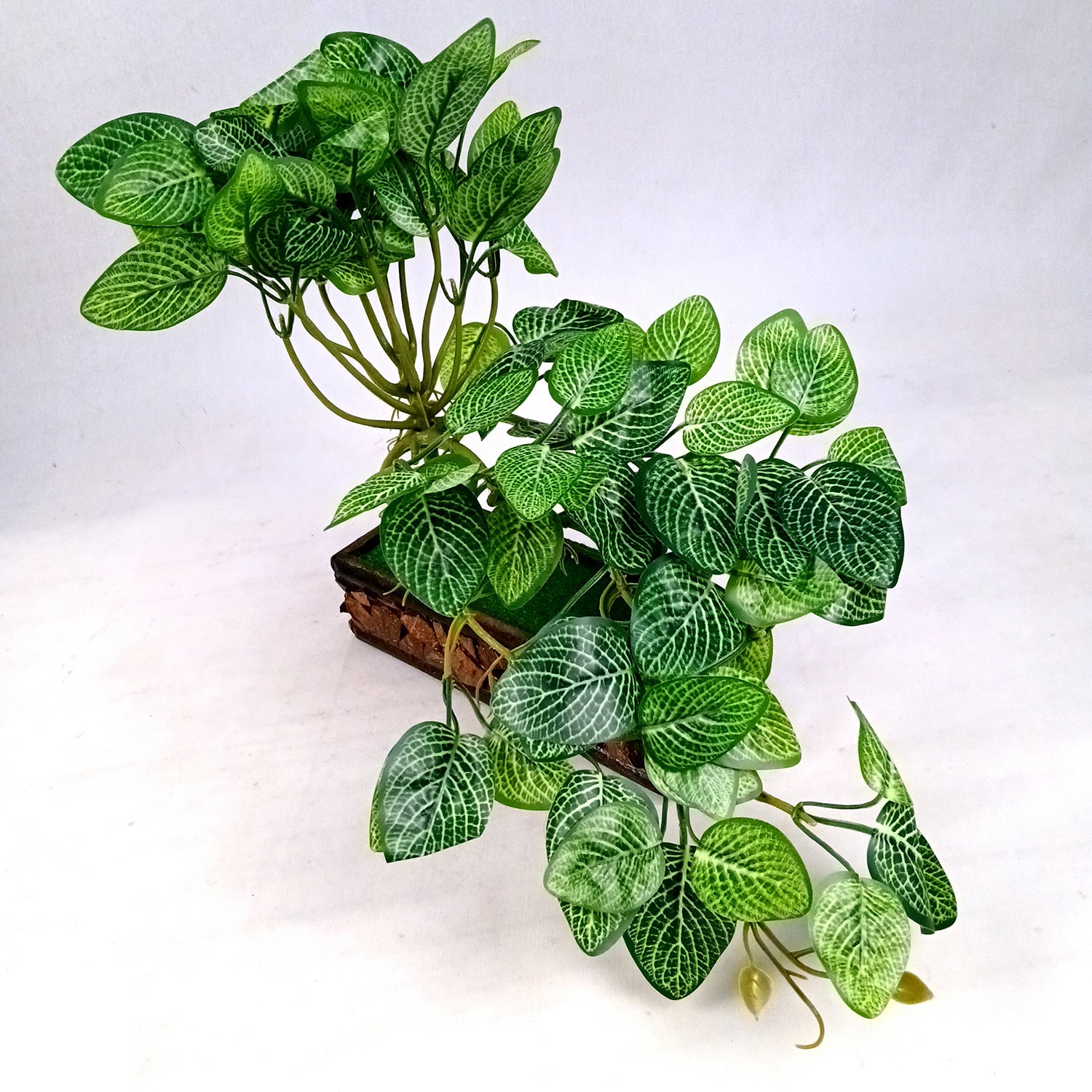 Artificial Plant With Pot |Bonsai Money Plant - for Home Decor, Living Room, Side Table - 12 Inch - Apkamart #Style_Design 1