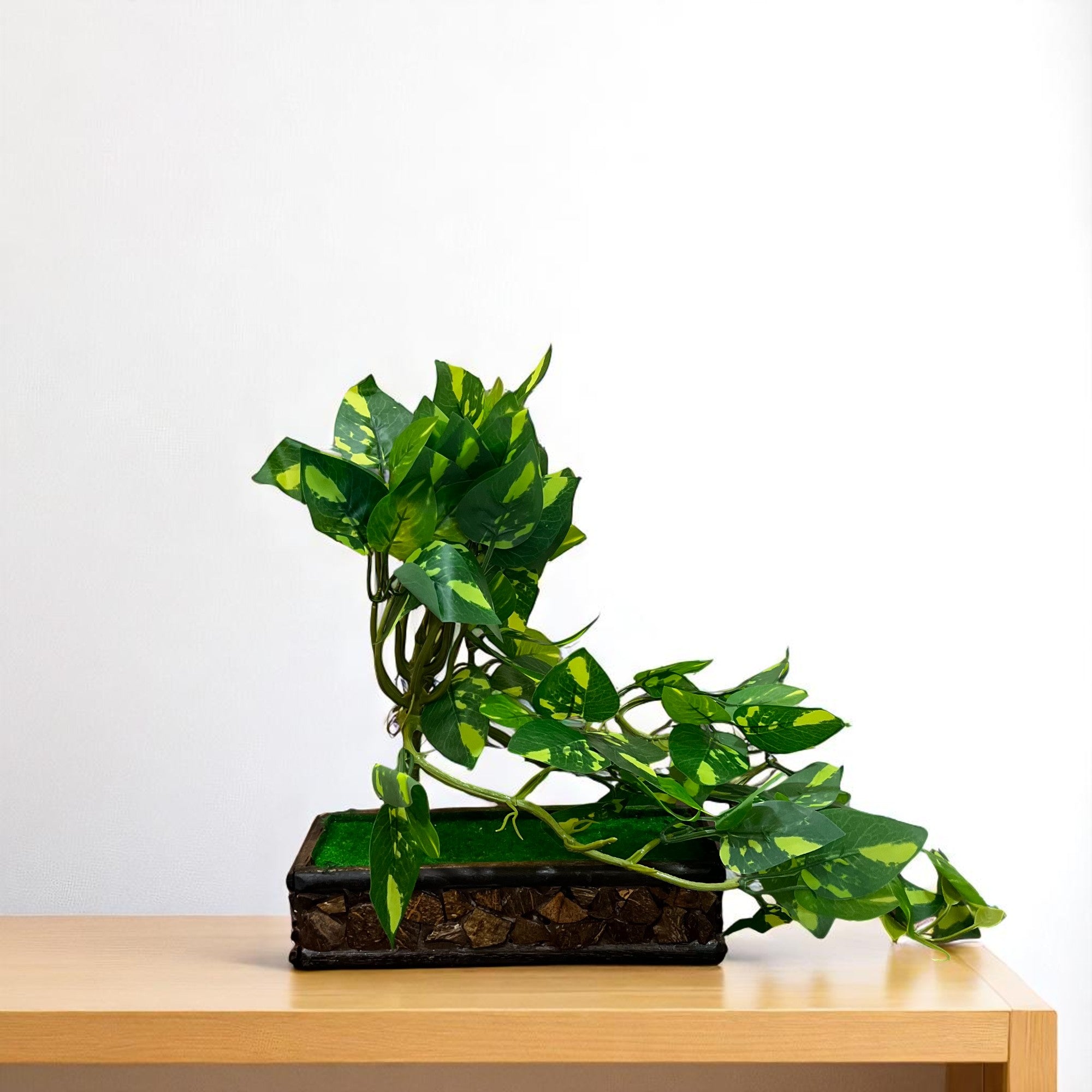 Artificial Money plant With Pot | Bonsai Artificial plant - For Vase, Pot, Home, Bedroom, Balcony, Office Corner, Living Room - 15 Inch - Apkamart #Style_Design 2