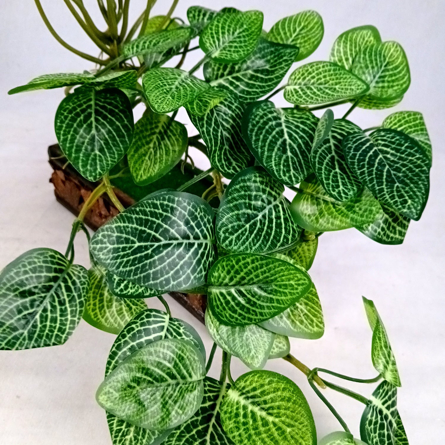 Artificial Plant With Pot |Bonsai Money Plant - for Home Decor, Living Room, Side Table - 12 Inch - Apkamart #Style_Design 1