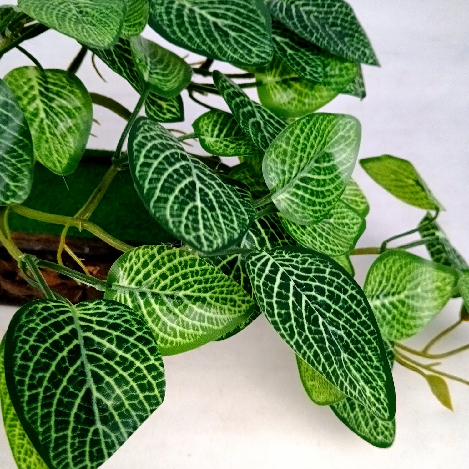 Artificial Money plant With Pot | Bonsai Artificial plant - For Vase, Pot, Home, Bedroom, Balcony, Office Corner, Living Room - 15 Inch - Apkamart #Style_Design 1