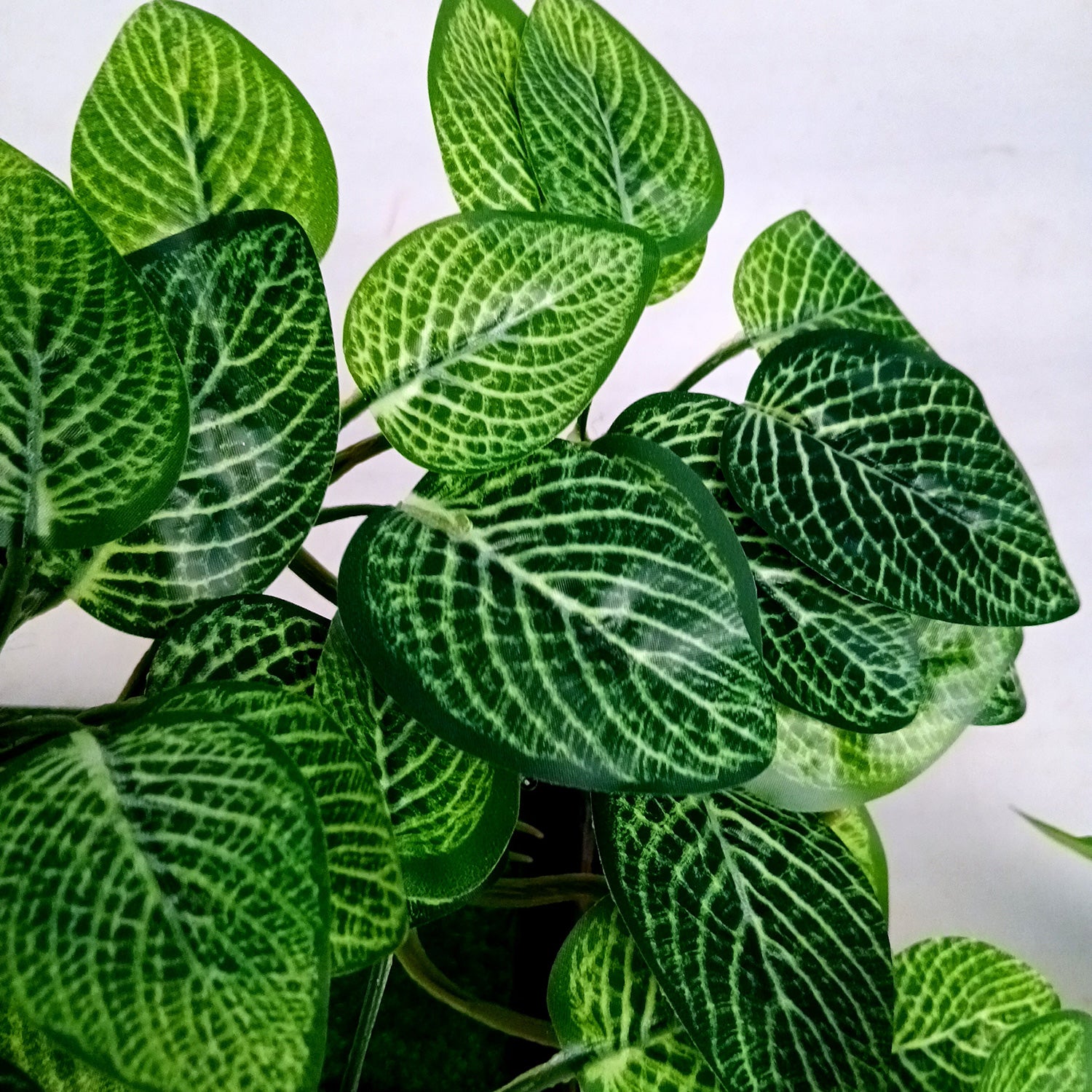 Artificial Money plant With Pot | Bonsai Artificial plant - For Vase, Pot, Home, Bedroom, Balcony, Office Corner, Living Room - 15 Inch - Apkamart #Style_Design 1