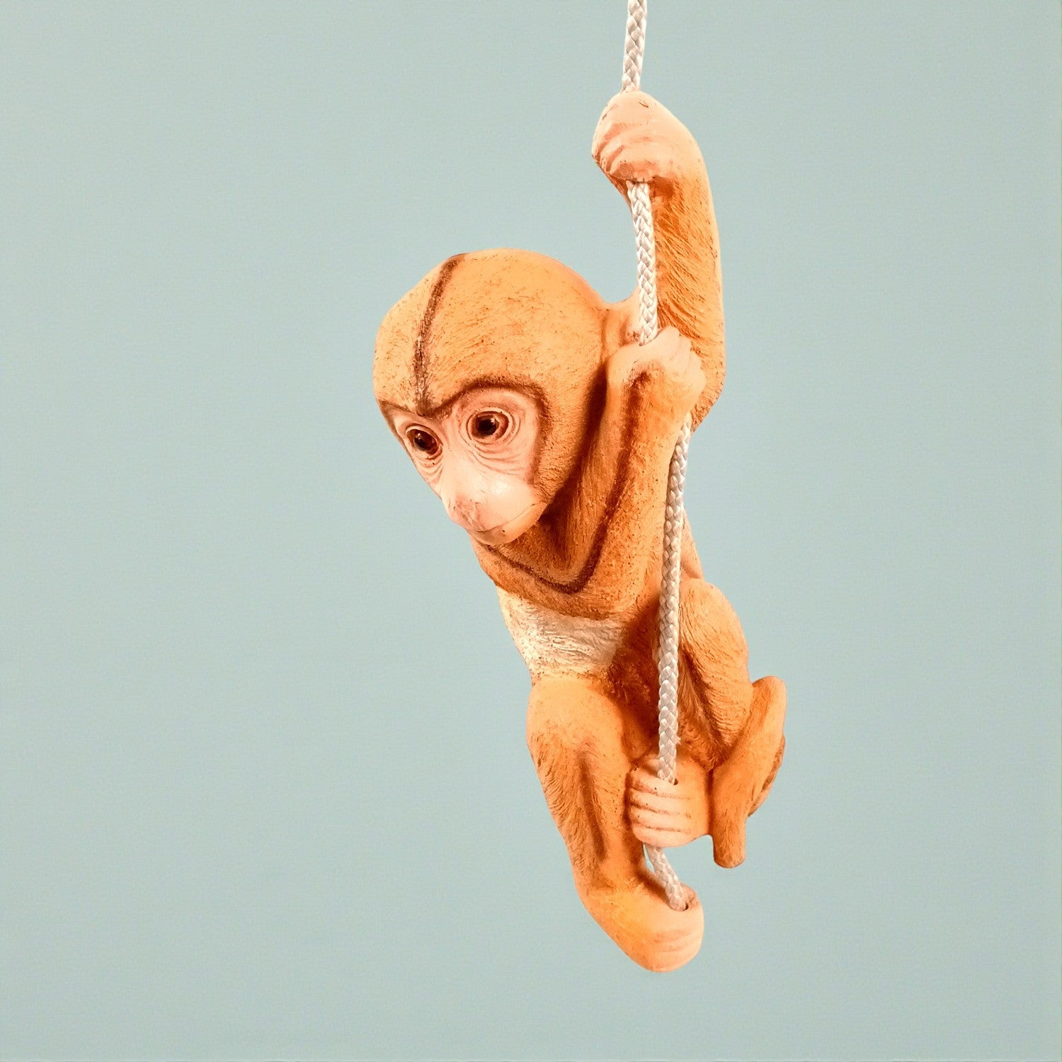 Monkey Hanging on Rope Wall Hanging | Decorative Animal Showpiece for Home, Garden, Living Room & Kids Room | Unique Wall Décor & Gift - 14 Inch - Apkamart