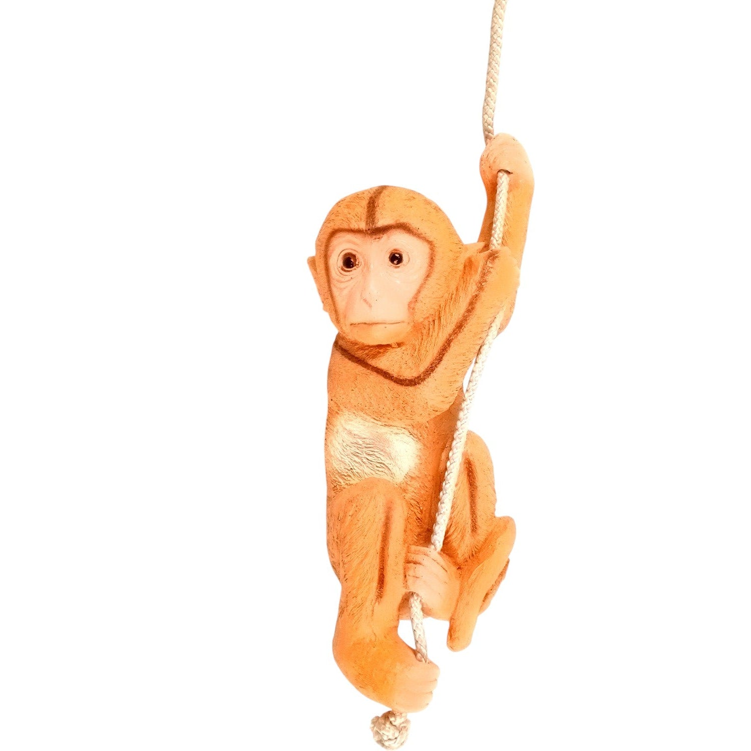 Monkey Hanging on Rope Wall Hanging | Decorative Animal Showpiece for Home, Garden, Living Room & Kids Room | Unique Wall Décor & Gift - 14 Inch - Apkamart