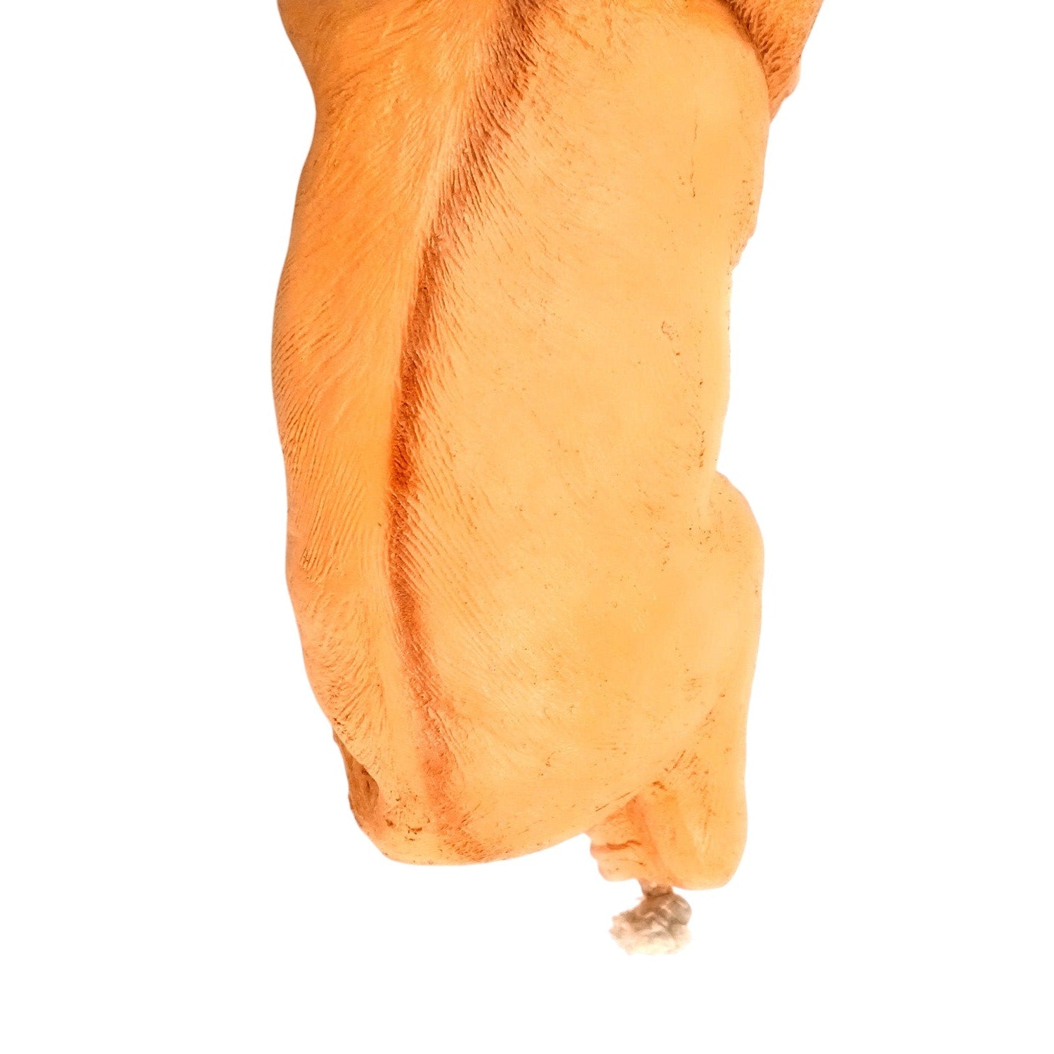 Monkey Hanging on Rope Wall Hanging | Decorative Animal Showpiece for Home, Garden, Living Room & Kids Room | Unique Wall Décor & Gift - 14 Inch - Apkamart