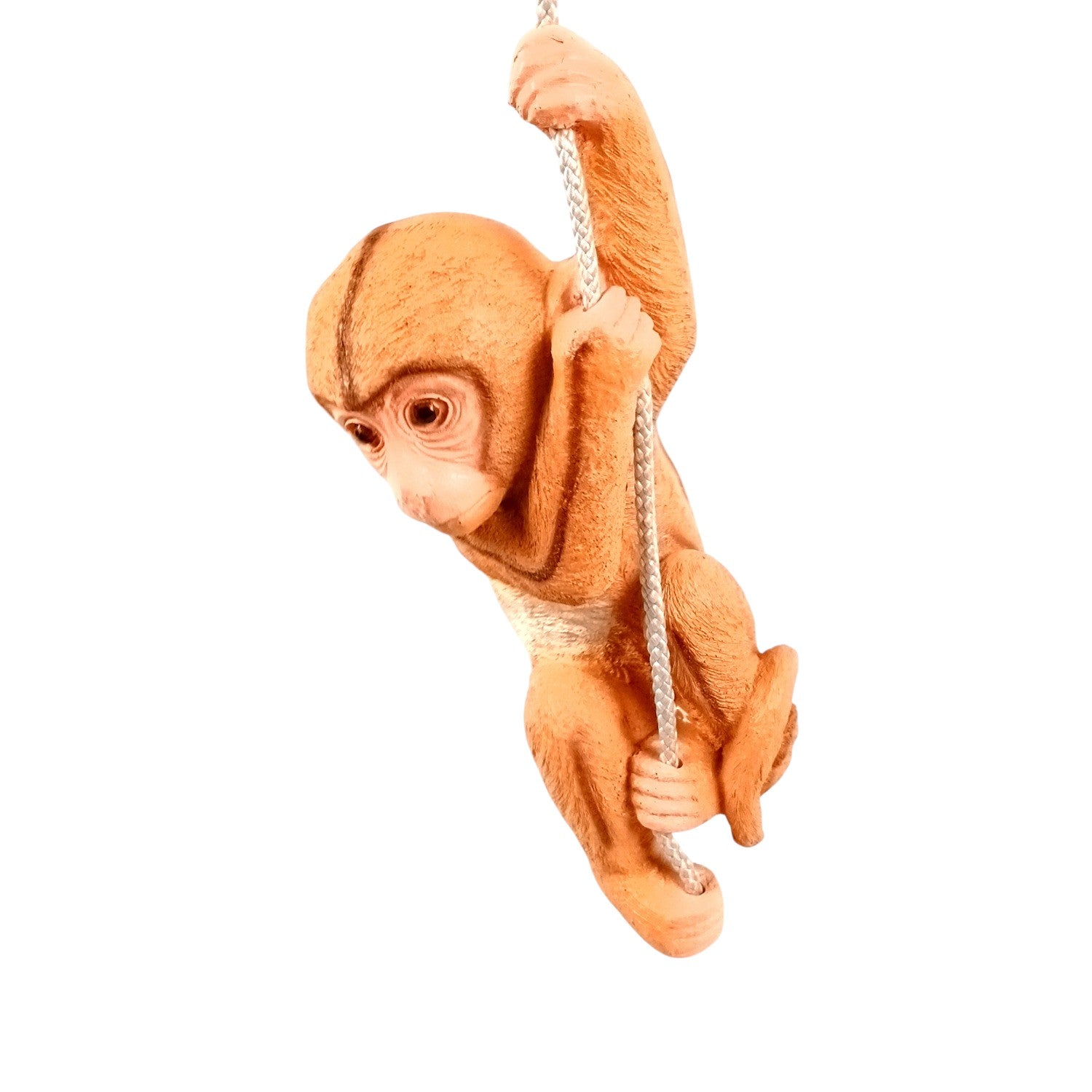 Monkey Hanging on Rope Wall Hanging | Decorative Animal Showpiece for Home, Garden, Living Room & Kids Room | Unique Wall Décor & Gift - 14 Inch - Apkamart