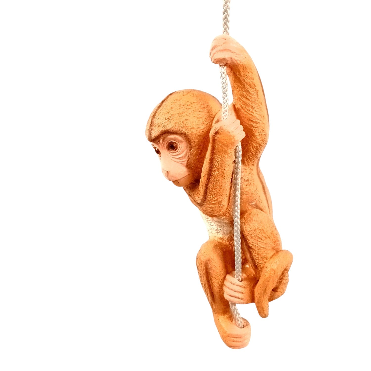Monkey Hanging on Rope Wall Hanging | Decorative Animal Showpiece for Home, Garden, Living Room & Kids Room | Unique Wall Décor & Gift - 14 Inch - Apkamart
