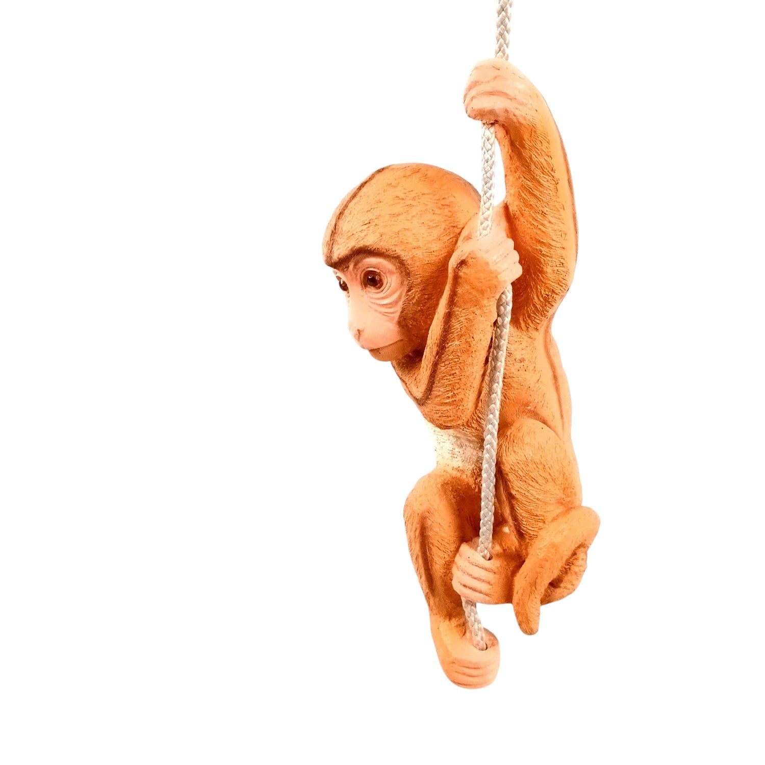 Monkey Hanging on Rope Wall Hanging | Decorative Animal Showpiece for Home, Garden, Living Room & Kids Room | Unique Wall Décor & Gift - 14 Inch - Apkamart