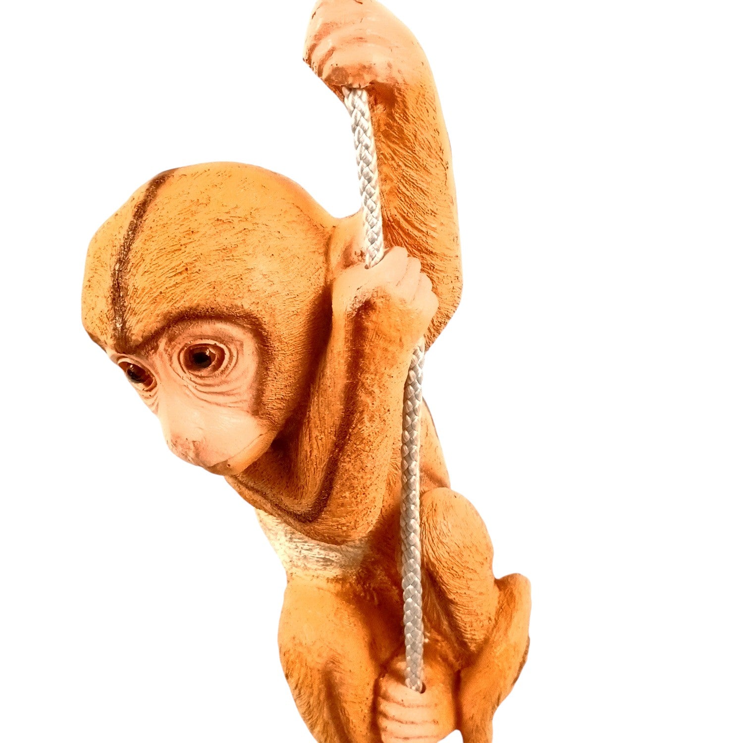 Monkey Hanging on Rope Wall Hanging | Decorative Animal Showpiece for Home, Garden, Living Room & Kids Room | Unique Wall Décor & Gift - 14 Inch - Apkamart